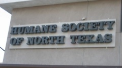 Humane Society of North Texas